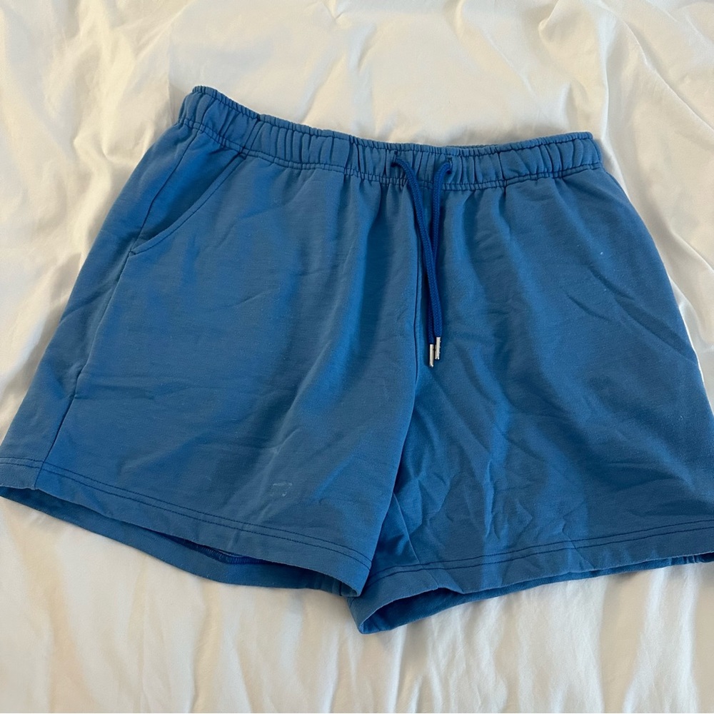 Chubbies Blue Sweat Shorts Large